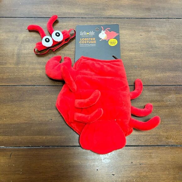 Other - Small Pet Lobster Costume Guinea Pig